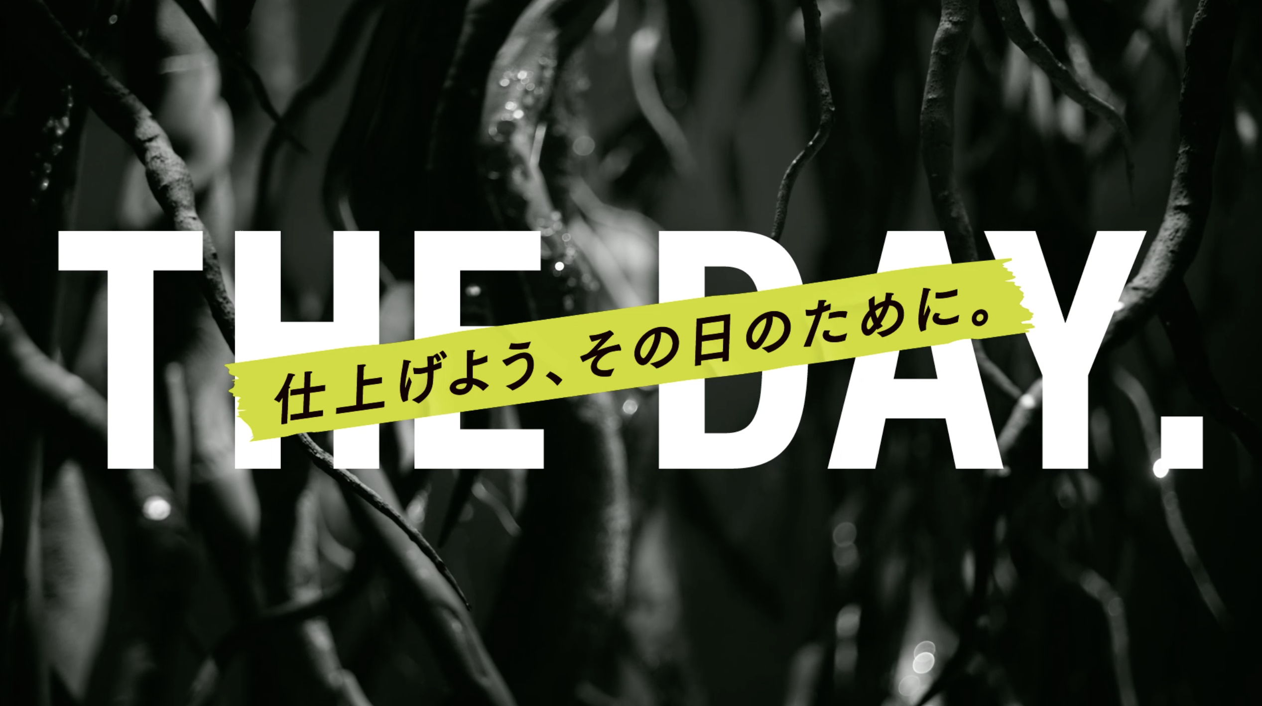 大塚製薬/ボディメンテ「THE DAY. 花と根」篇